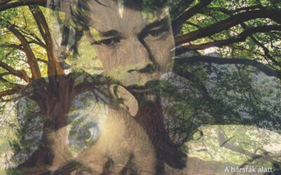 Egy hányatott nyár története, Öcsi sorsán keresztül. Befejező rész