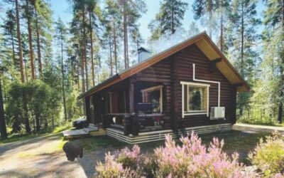 Szabó Árpád: Metamorfózis