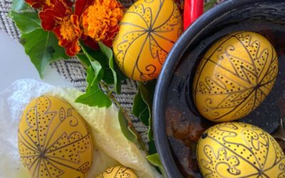 Gajdos Zsuzsa, Zsuzsi hímesei blog.